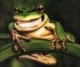Benutzeravatar
